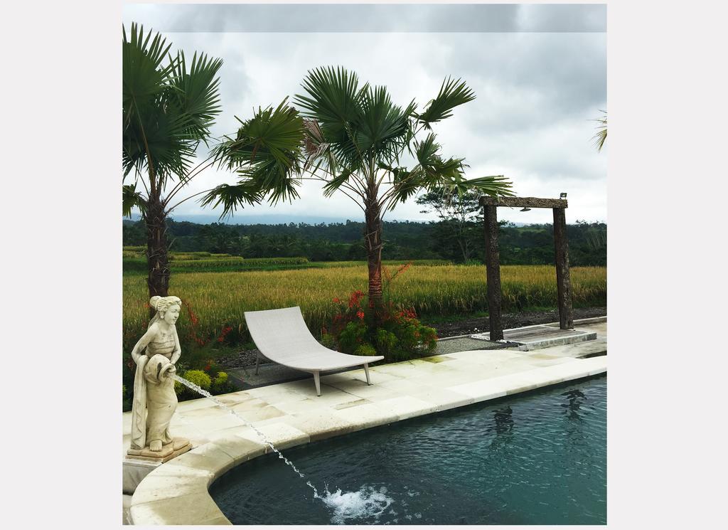 Ti Amo Bali Hotell Desa Desa Jatiluwih Rum bild