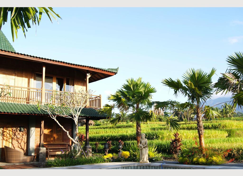 Ti Amo Bali Hotell Desa Desa Jatiluwih Rum bild