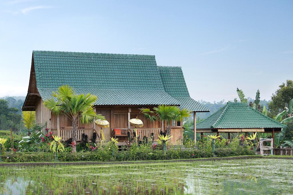 Ti Amo Bali Hotell Desa Desa Jatiluwih Exteriör bild
