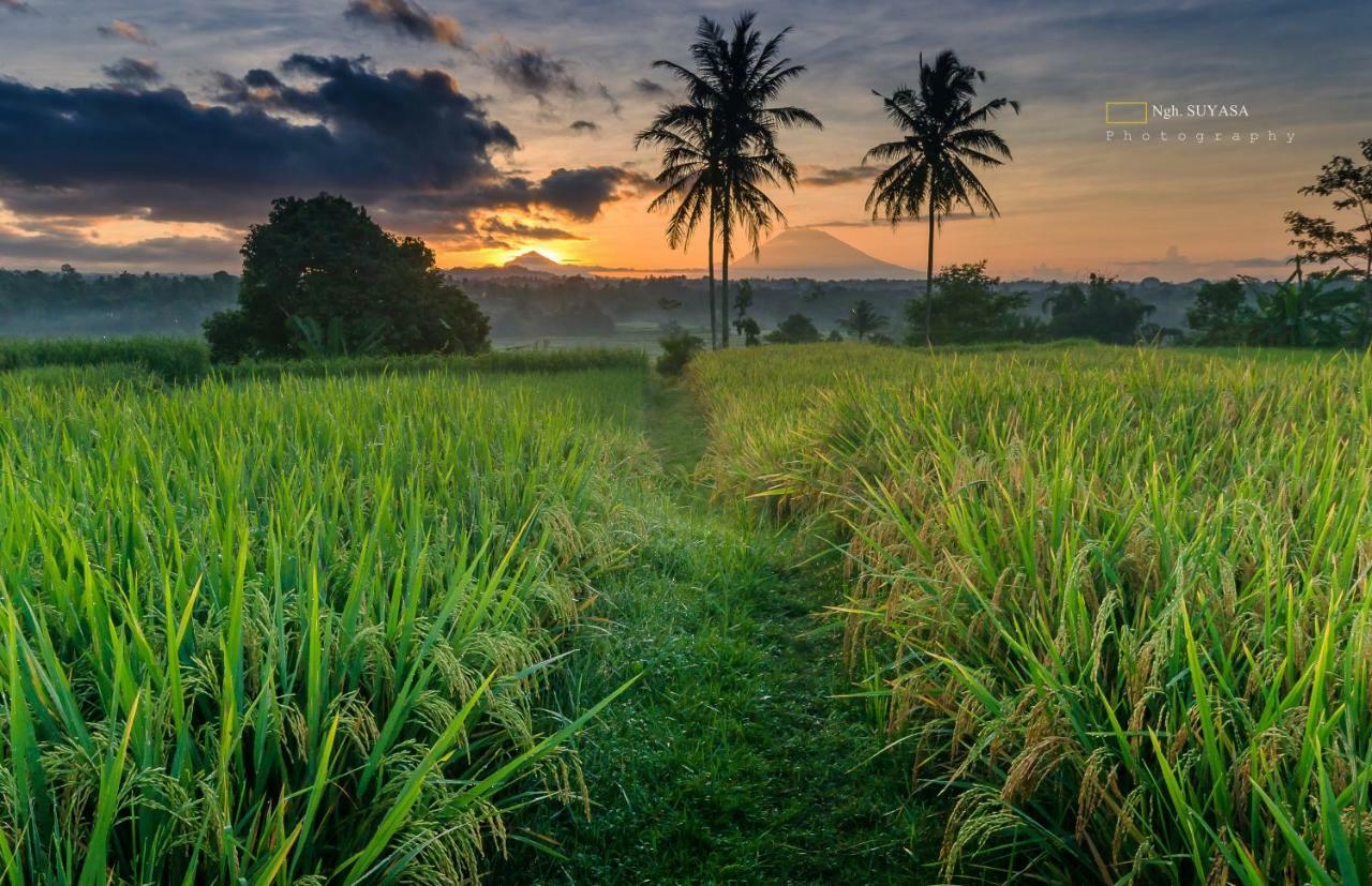 Ti Amo Bali Hotell Desa Desa Jatiluwih Exteriör bild