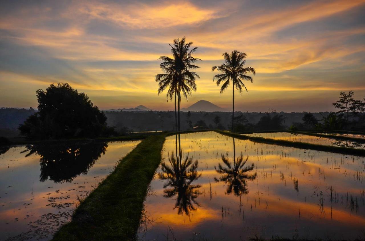 Ti Amo Bali Hotell Desa Desa Jatiluwih Exteriör bild